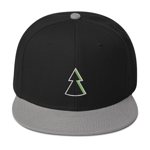 FOREST Snapback Hat picto